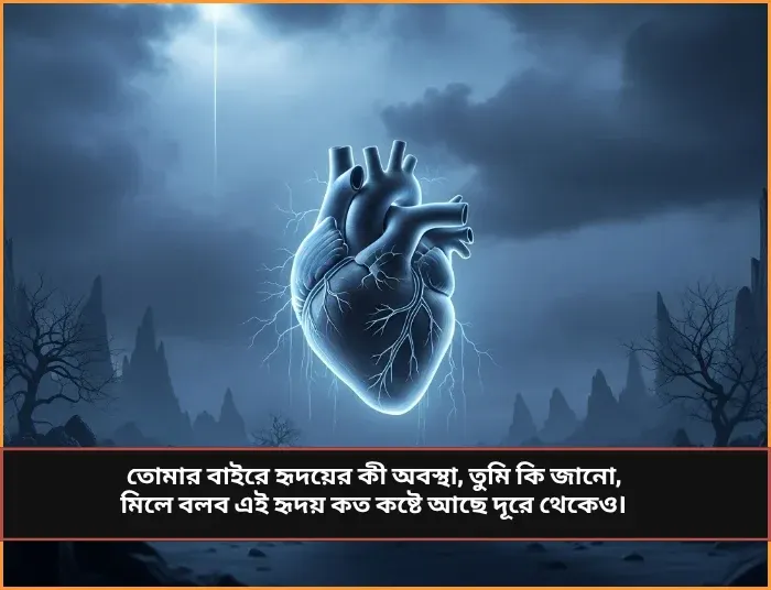 Broken Heart Touching Alone Sad Quotes Bengali