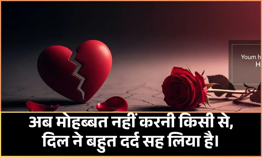 No Love Shayari