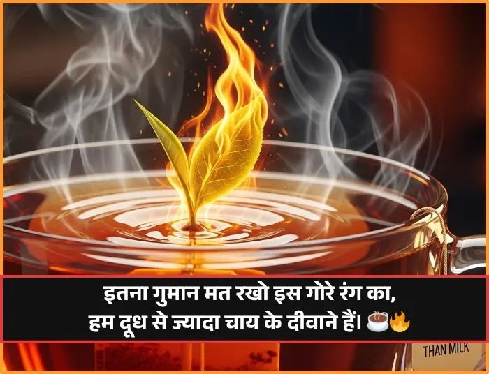 Instagram Attitude Shayari Instagram Attitude Shayari